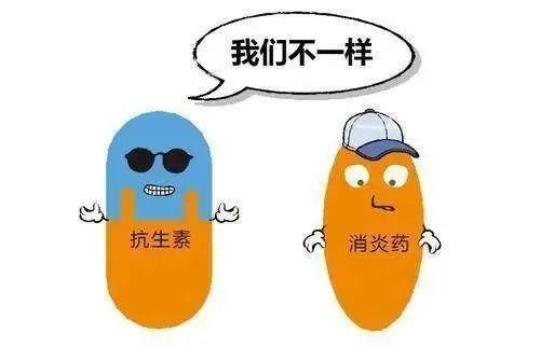 抗炎药和消炎药一样吗