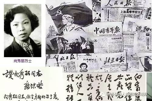关于英雄向秀丽的诗句合集(优选)