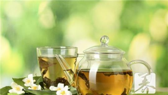 绿茶什么时候喝 绿茶直播