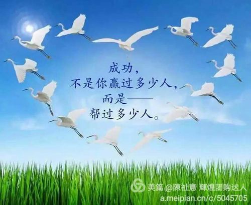 关于形容人有自信的诗句合集(实用) 关于形容人有才的成语