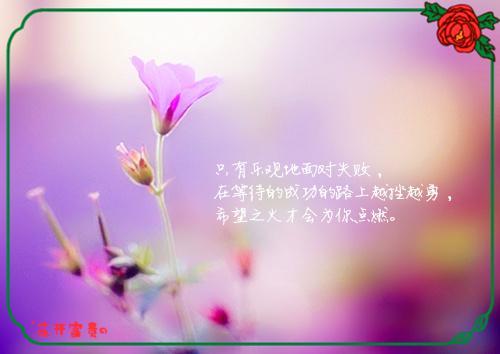 关于唯美灵性句子大全 水是有灵性的唯美句子