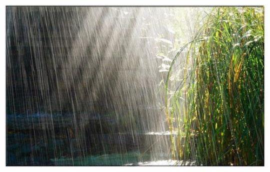 大雨的声音怎么写的