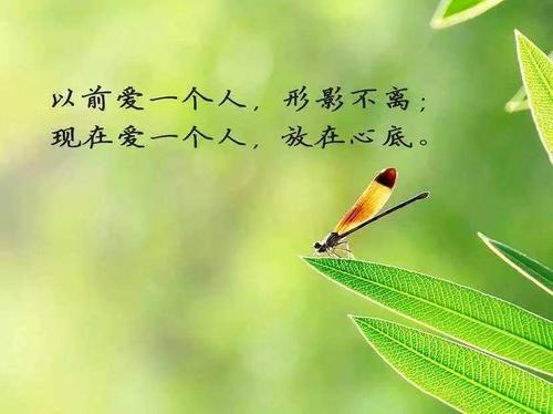 关于形容自己孤单的句子说说心情大全 关于形容自己的词语