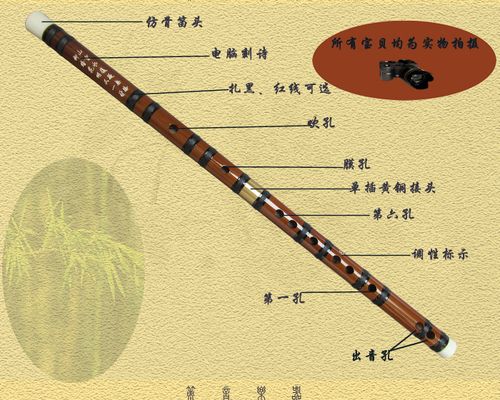关于查找竹笛的诗句合集(优选)