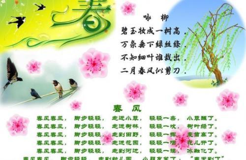 关于形容柳条诗句合集(精选) 形容柳条的词语