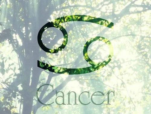 cancer是什么意思 cancer巨蟹座