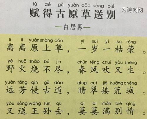 关于白居易写的草的诗句合集(通用) 关于白居易诗句