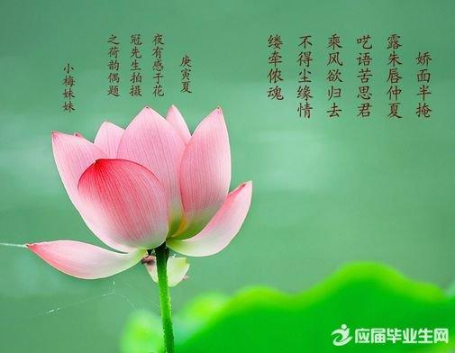 关于描写夏季荷花的古诗词合集(精选) 关于描写夏季的词语有哪些