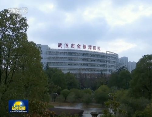 金银潭医院 金银潭医院院长