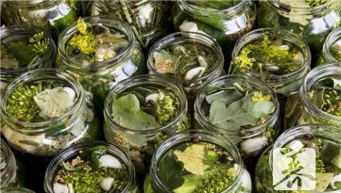 盐水鸭的做法 盐水鸭做法视频教程