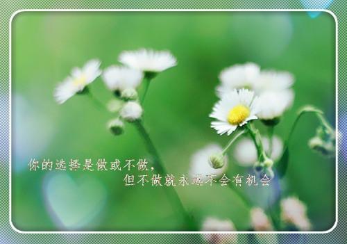 关于加油努力的经典句子说说心情说说心情说说大全 关于加油努力的句子