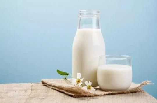 睡前喝牛奶会会不长胖 减肥睡前可以喝牛奶吗