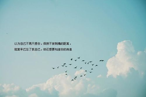 关于虐心失恋句子说说心情大全 失恋虐心文案