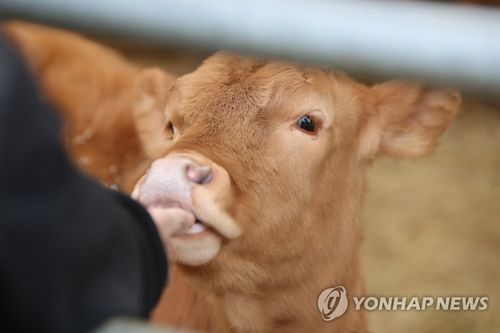 小牛 小牛电动车官网价格表