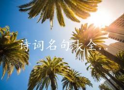 关于冒险诗句合集(优选) 关于冒险的诗句有哪些