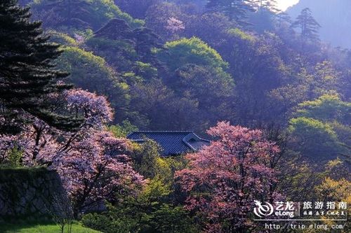 关于登高与春天的诗句是合集(优选) 春天登高的诗句