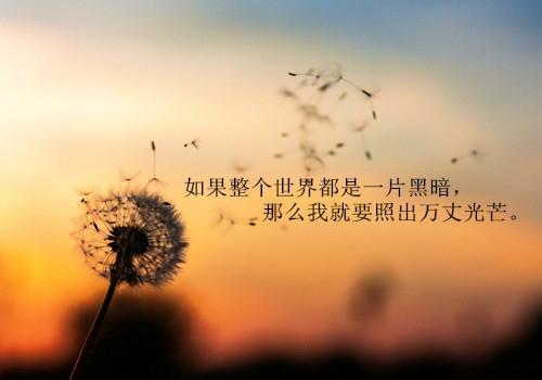 关于警句桌面大全