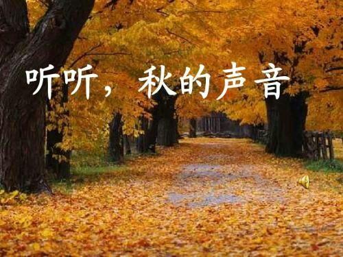 关于一句话形容兴趣广泛诗句合集(精选) 用一句形容穷