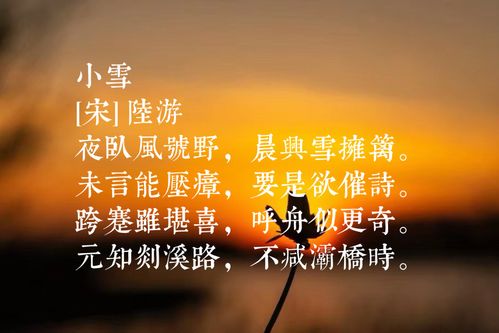 关于形容小雪景色的诗句合集(通用) 形容下小雪的诗句