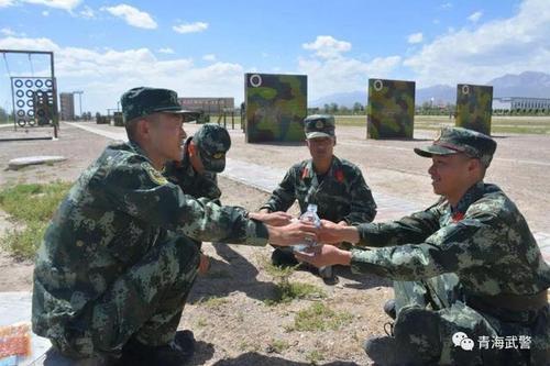 关于形容知兵爱兵的诗句合集(实用)