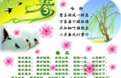 关于春天的诗句两个合集(精选) 关于春天诗句的手抄报图片