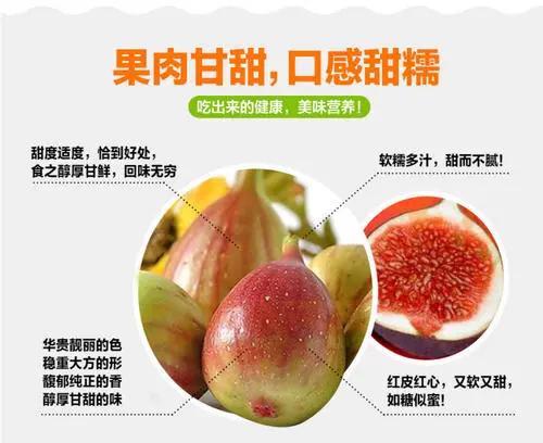 无花果的功效 无花果功效作用与主治