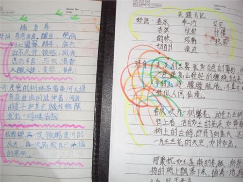 关于四年级简单的优美句子大全 关于四年级简单的手抄报