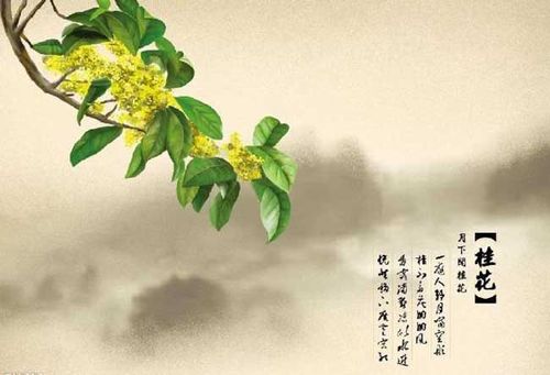 关于两句有花的古诗词合集(通用) 关于两句有花有草古诗