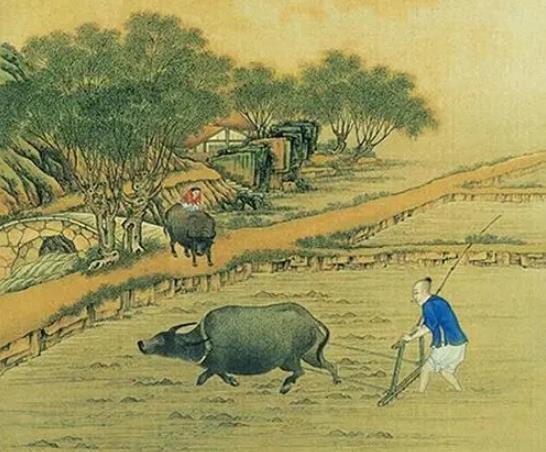 关于写古代农业的诗句合集(实用) 关于古代农业的书