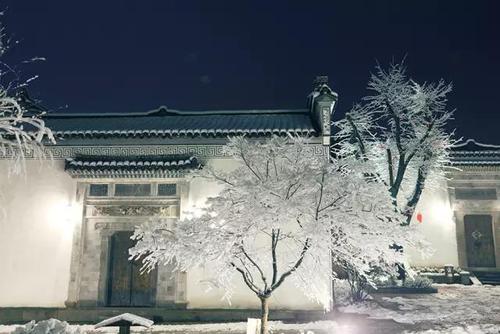 关于形容雪夜灯光的诗句合集(通用) 形容雪夜的诗句