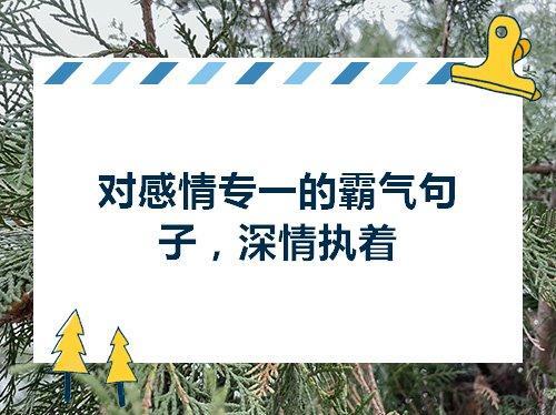 关于形容人感情多年未变的诗句合集(精选) 关于形容感情的两字词语
