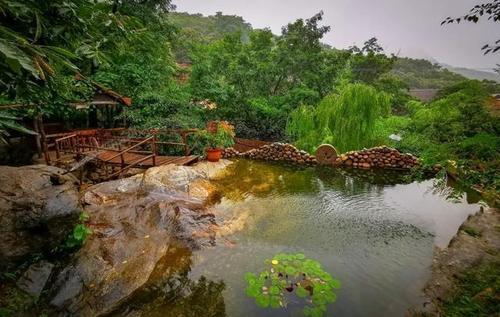 椿树沟风景区 沂水椿树沟风景区图片