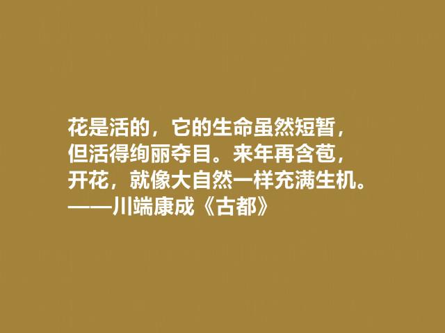关于古都川端康成优美句子大全 古都川端康成主要内容