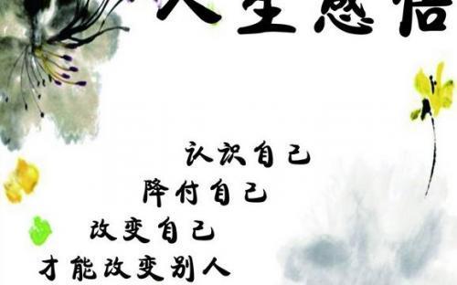 关于人对生活的感悟的句子说说心情大全 关于生活感悟的作文800字