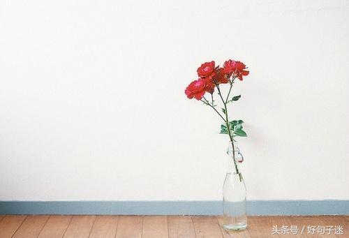 关于洒脱随性淡然的唯美句子大全