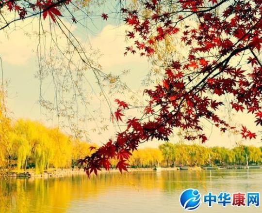 关于形容拍摄美景摄影师的诗句合集(精选) 形容拍摄技术好的话