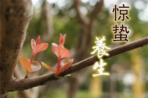关于形容照耀万物的诗句合集(优选) 形容阳光照耀的字