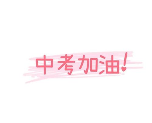 关于中考加油的话唯美句子大全 关于中考加油的头像女生