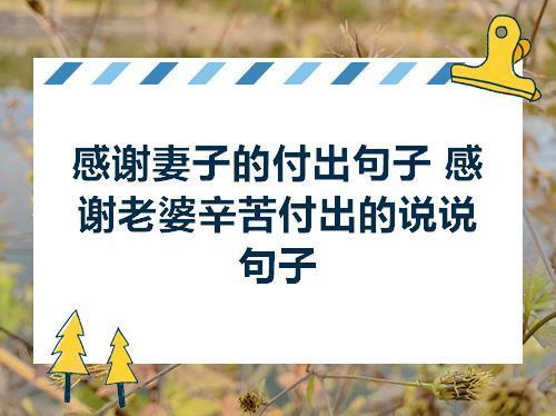 关于形容人辛苦付出的诗句合集(精选) 形容工作辛苦的诗