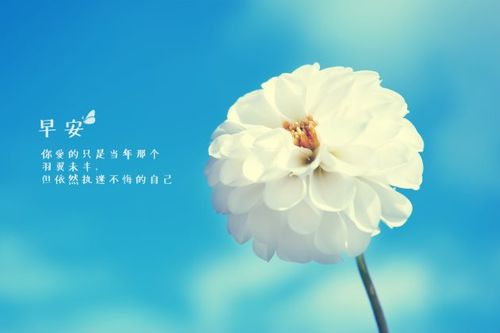 关于早安说说经典个性心情句子大全 关于早安经典语录