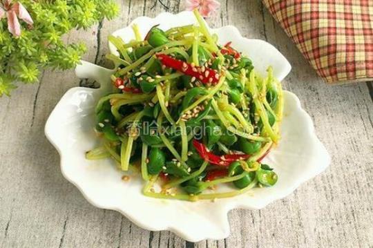 凉拌豆苗的做法大全