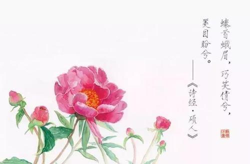 关于诗经里面形容女孩子美的诗句合集(实用) 关于诗经里面的诗句