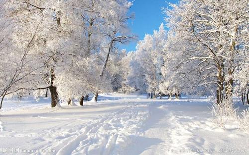 关于写两句咏雪的诗句合集(优选) 关于两句咏雪的诗句