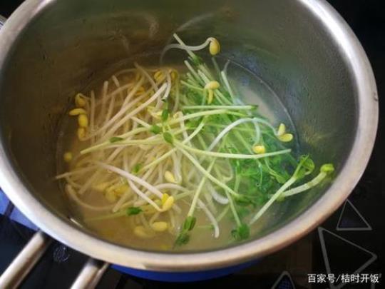 豆苗和豆芽的区别