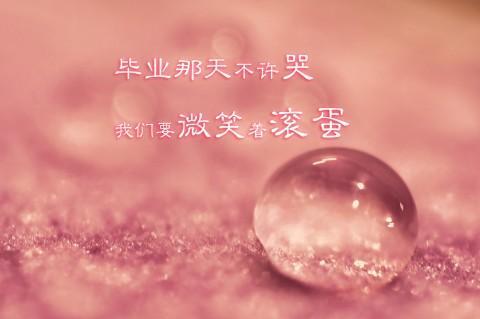 关于初中生毕业留言唯美句子大全 关于初中生毕业的感慨词