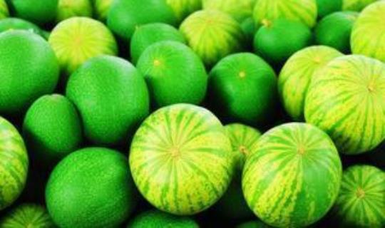 绿色的瓜是什么水果