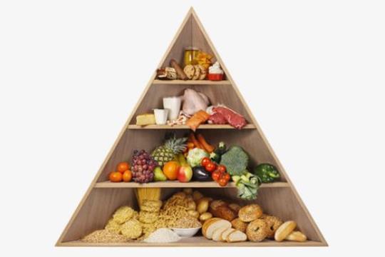 膳食金字塔 膳食金字塔图片