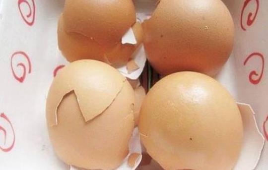 鸡蛋壳补钙 鸡蛋壳补钙是真的吗