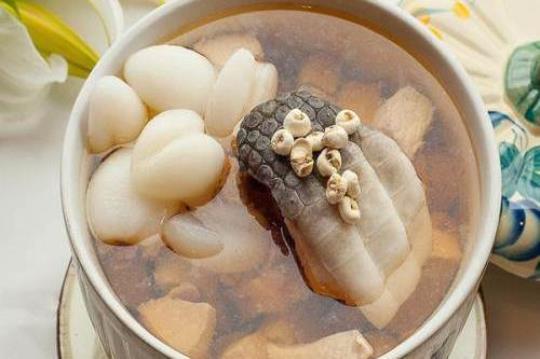 鳄鱼肉煲汤