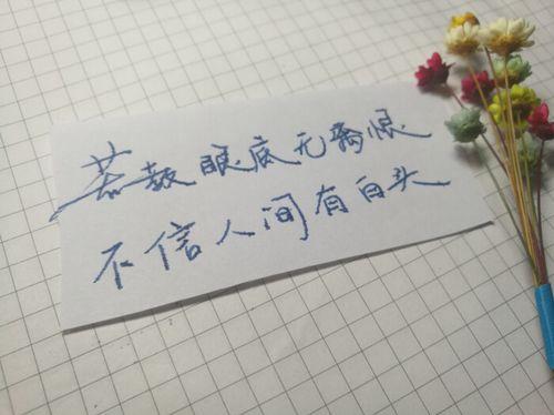 关于唯美句子的大全 关于唯美句子上进的